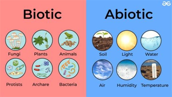 Are feces biotic or abiotic?