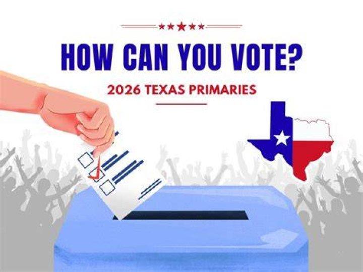 Can probationers vote in texas?