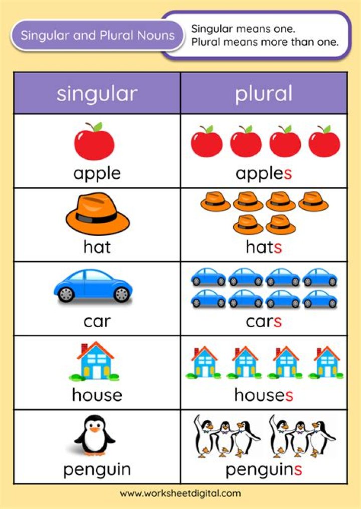 Can we use the before plural?