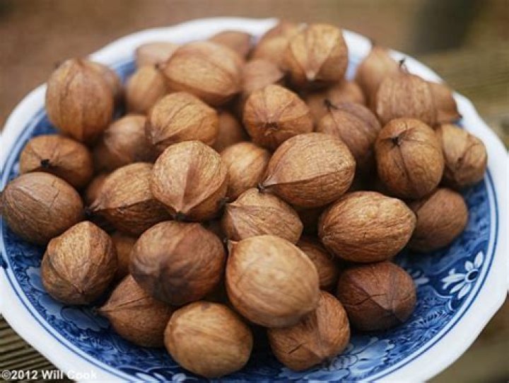 Can you eat mockernut hickory nuts?