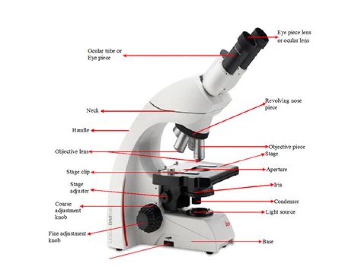 Could you use a microscope as a telescope?