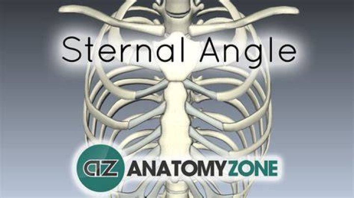 How to find sternal angle?
