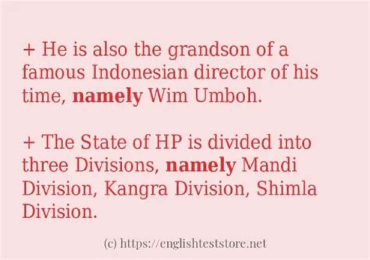 How to use namely in a sentence?