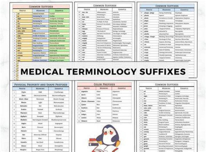 In medical terms what is stat?