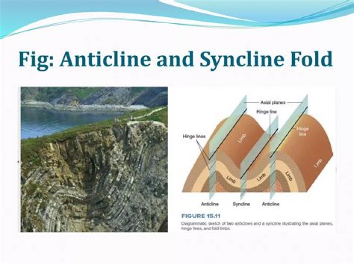 Is anticline a downwarped fold?