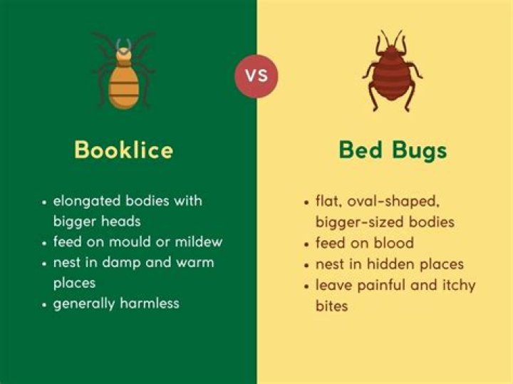 Is booklice harmful to humans?