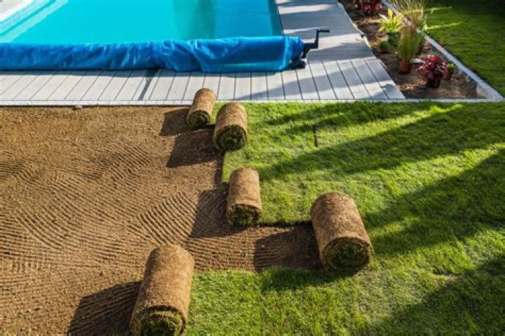 Is gravel or grass cheaper?