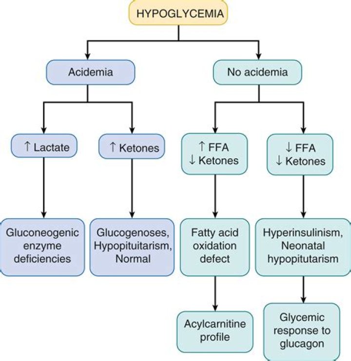 Is ketotic hypoglycemia diabetes?
