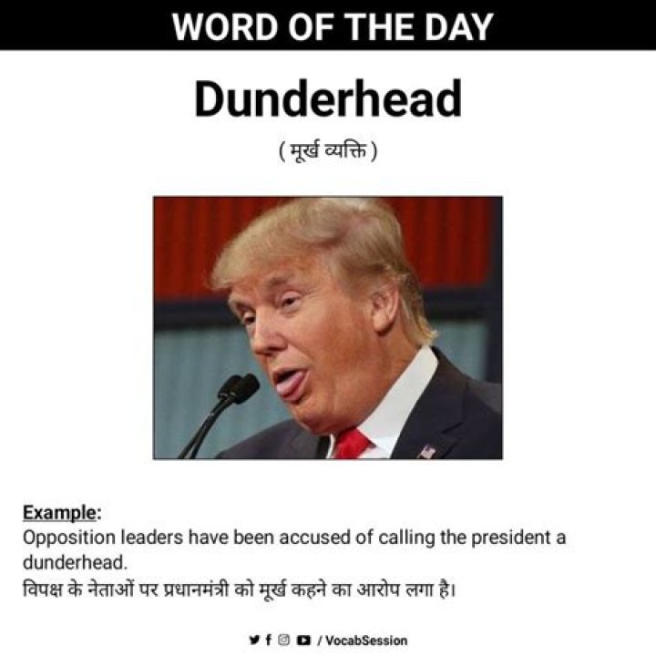 Is there such a word as dunderhead?