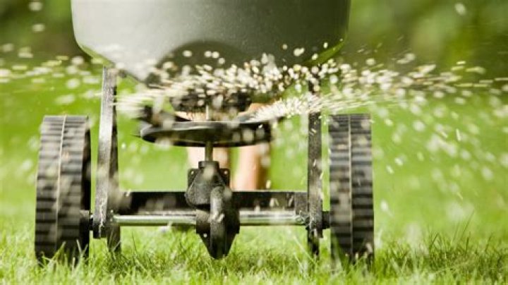 Should lawns be aerated every year?