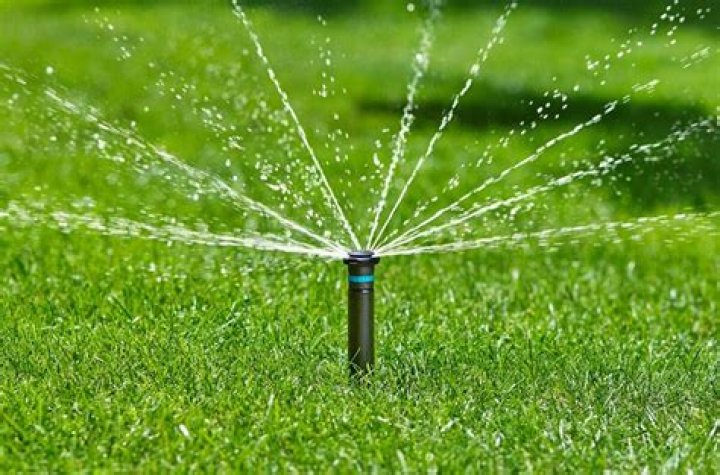 What's better rainbird or hunter?