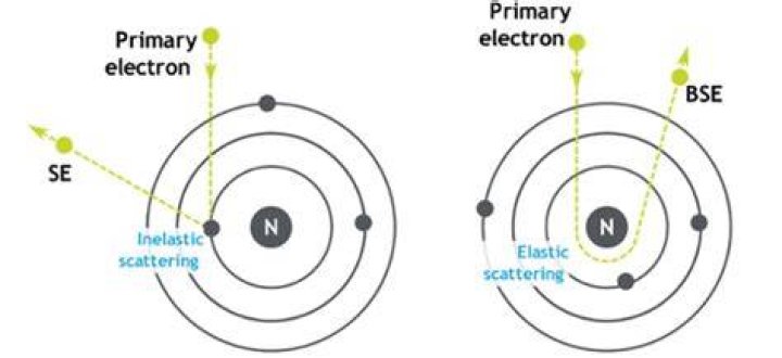 What are backscattered electrons and secondary electrons?