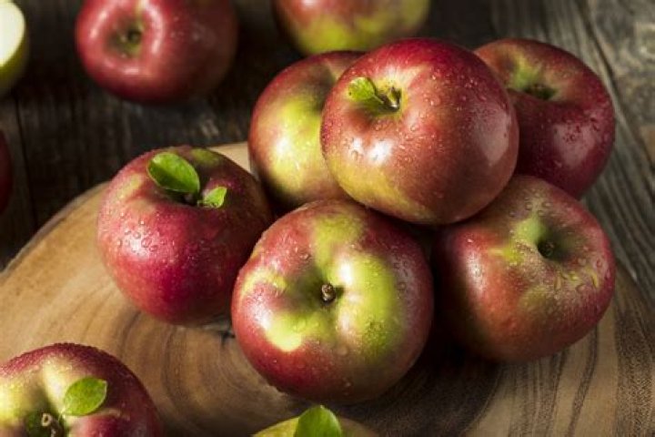 What are mcintosh apples good for?