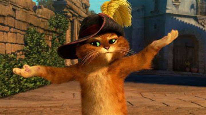 What cat is puss in boots?