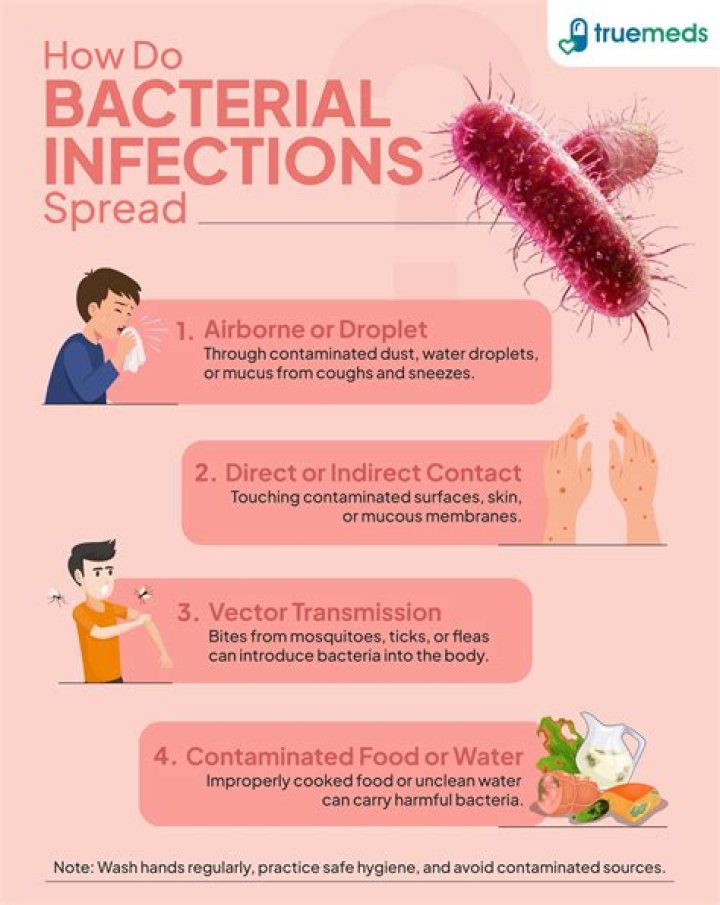 What diseases does bacillus cause?