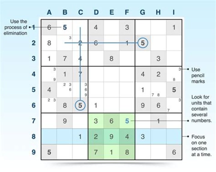 What does the word sudoku actually mean?