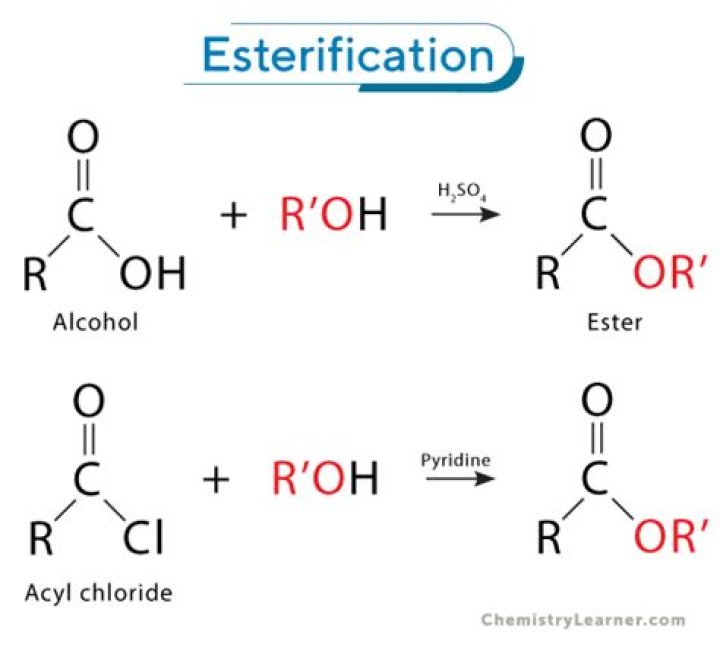 What is interesterification used for?