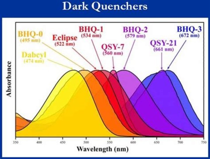 What is qsy quencher?