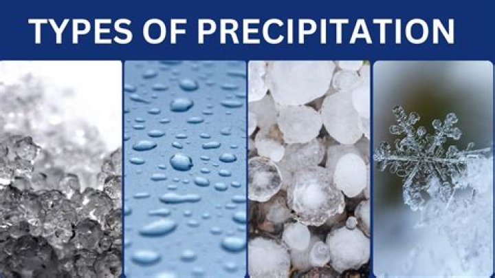 What precipitation percent means?