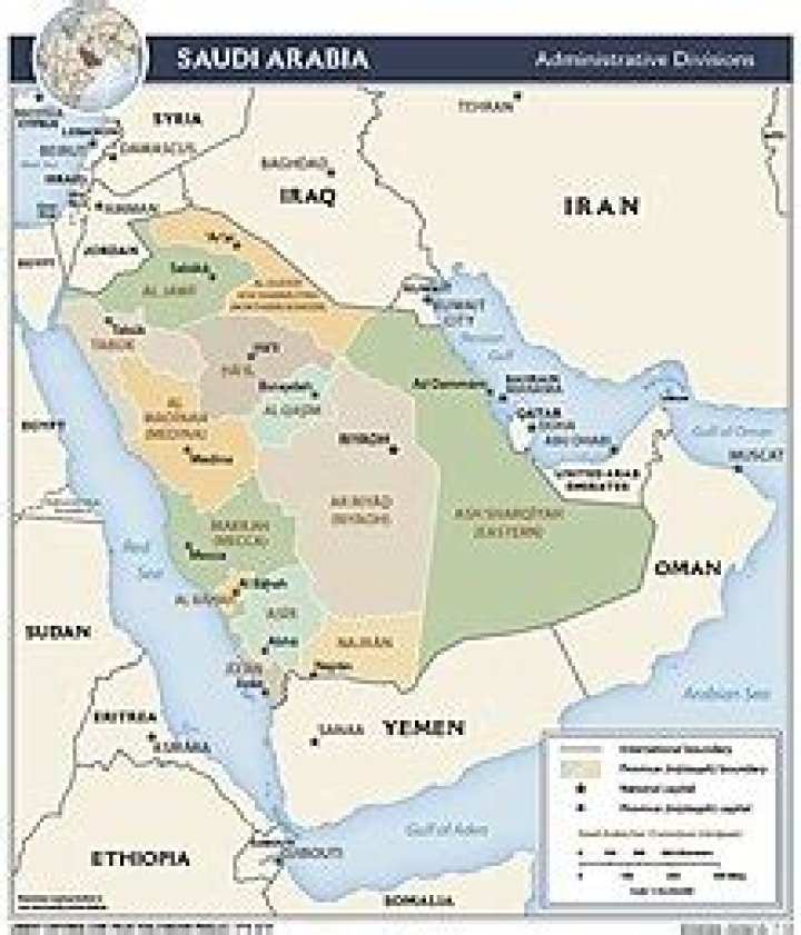 Where did saudi arabians come from?