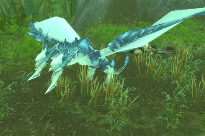 Where to get chimaera in wow?