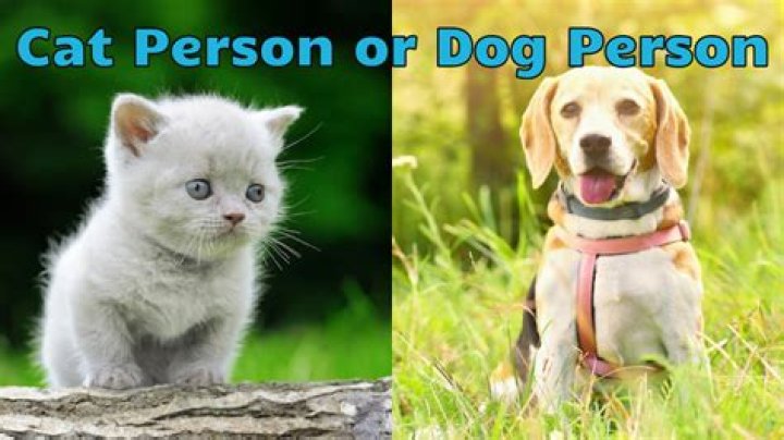 Which is cleverer cat or dog?