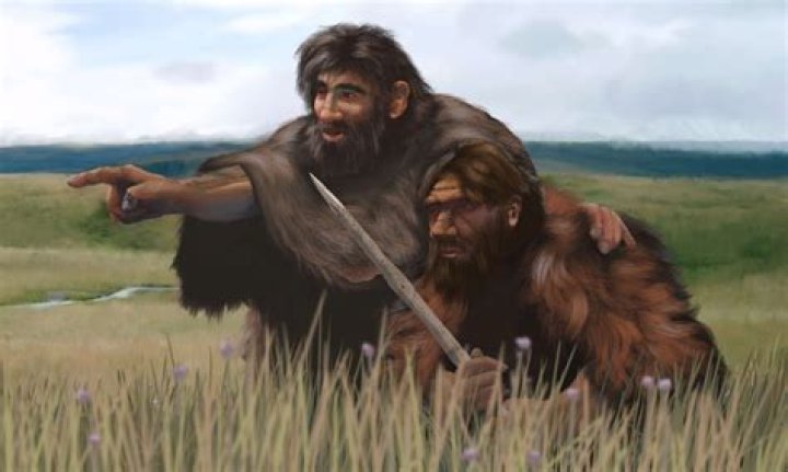 Which race has the most neanderthal dna?