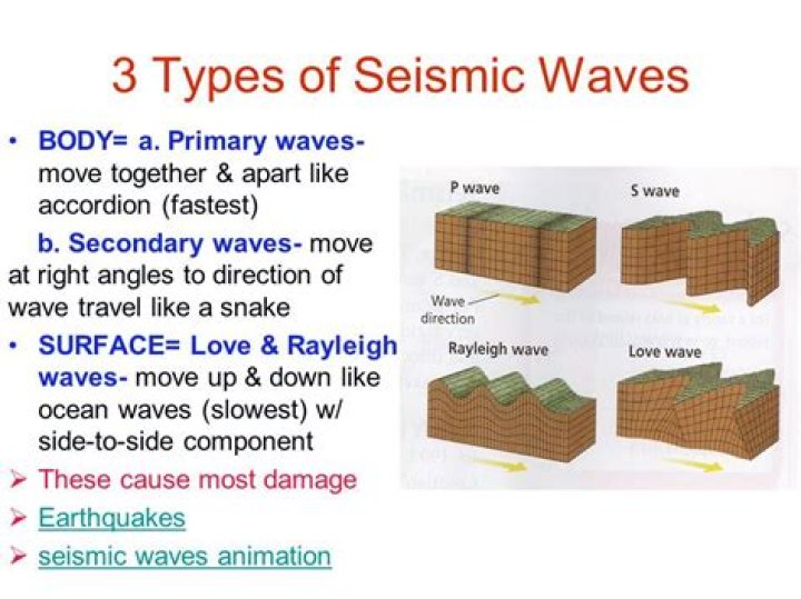 Which seismic waves travel most rapidly?
