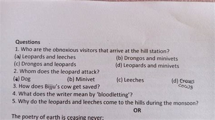Who are the obnoxious visitors?