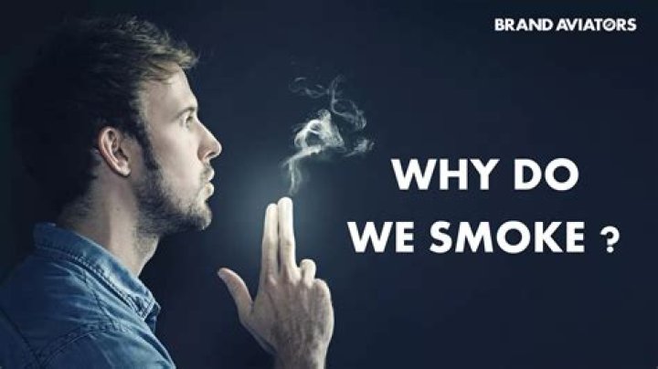 Why do we smoke pit latrines?