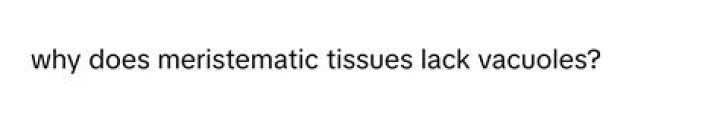 Why does meristematic cells lack vacuoles?