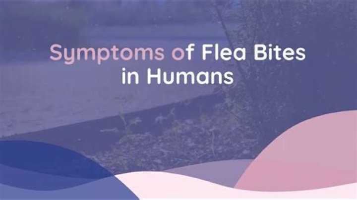 Would fleas bite humans?